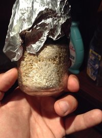 image.jpeg