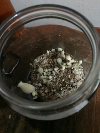 Pote #1 b.JPG