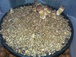 20160909_164337.jpg