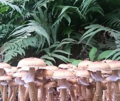 20160910_062248-1.jpg