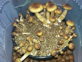 20160910_172617.jpg