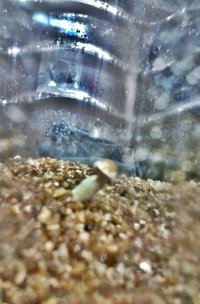 IMG-20160910-WA0000.jpg