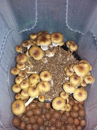 20160911_054002.jpg