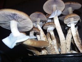 20160911_054218.jpg