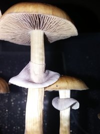 20160911_054048.jpg