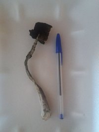 20160911_141347.jpg