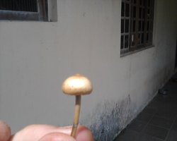 IMG0008D.jpg