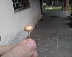 IMG0014A.jpg