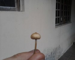 IMG0015B.jpg