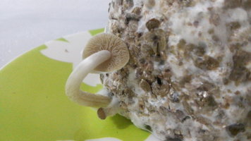 20160913_103545.jpg