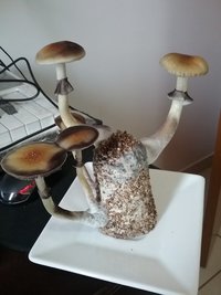 20160913_111037.jpg