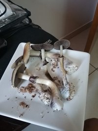 20160913_111255.jpg