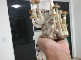 20160914_183207.jpg