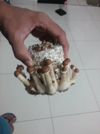 20160914_182937.jpg