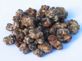 esclerotia.jpg