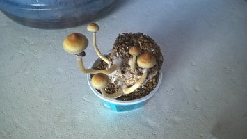 WP_20160908_09_54_46_Pro.jpg