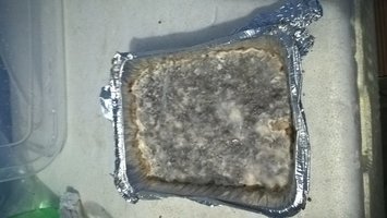 WP_20160914_21_16_38_Pro.jpg