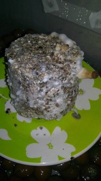 20160916_122701.jpg