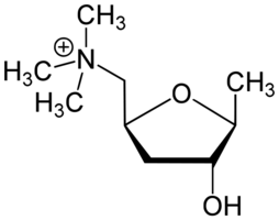 muscarina.png