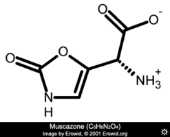 muscazone.png