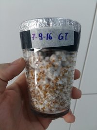 20160915_072134.jpg