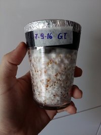 20160917_150351.jpg