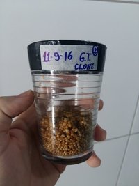 20160915_072254.jpg