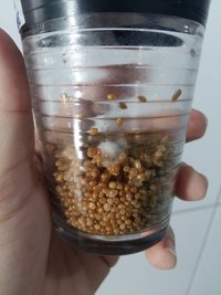 20160915_072303.jpg