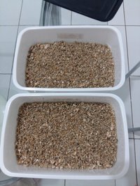 20160918_071733.jpg