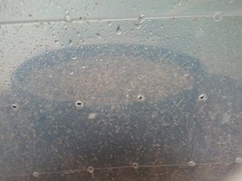 20160920_081930.jpg