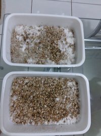 20160922_175351.jpg