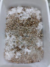 20160922_175406.jpg