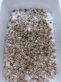20160922_175424.jpg