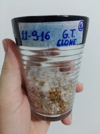 20160922_175709.jpg