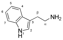 Triptamina