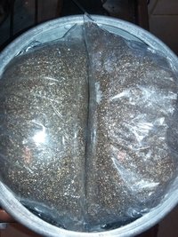 20160924_130719.jpg