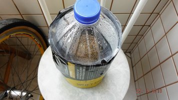 6l.JPG