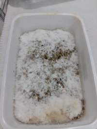 20160926_173520.jpg