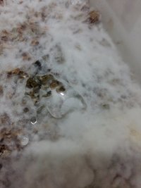 20160926_173544.jpg