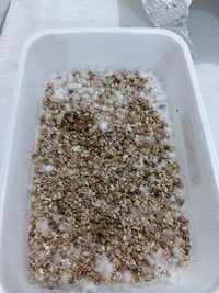 20160926_173812.jpg