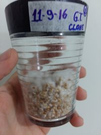 20160926_174027.jpg