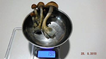 DSCF3038.JPG