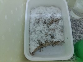 20160927_200743.jpg