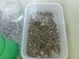 20160927_200750.jpg