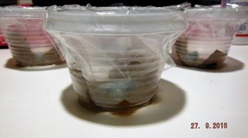 DSCF3071.JPG