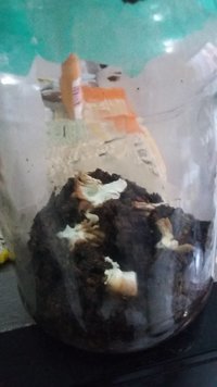 20160908_173920.jpg