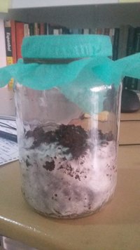 20160919_152248.jpg