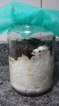 20160926_003148.jpg