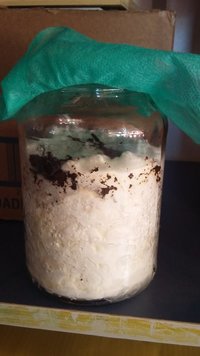 20160928_140747.jpg