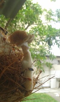 IMG-20160930-WA0006-1.jpg